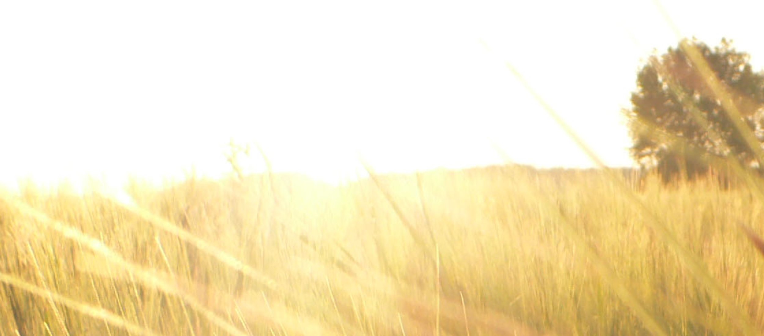 Nilan | Lüftungs- und Raumklimalösungen