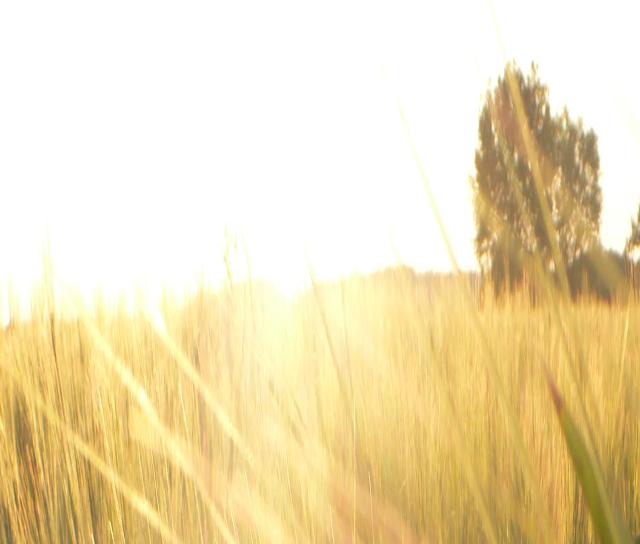 Nilan | Lüftungs- und Raumklimalösungen